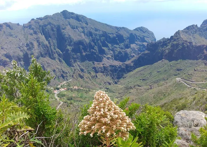 Cozy House In Candelaria, Sea View Semesterbostad Candelaria